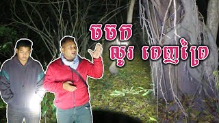 Real ghost hunter សម្លេងឆ្កែចចកលូរពេញព្រៃជាក្រុម Part1 By RC FUN TV II