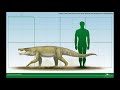 notosuchus a prehistoric carnivorous land croc from patagonia