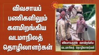 விவசாயப் பணிகளிலும் களமிறங்கிய வடமாநில  தொழிலாளர்கள் | Tamilnadu | Migrant Workers | Farmers