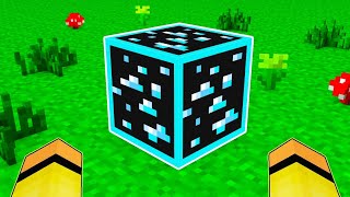 NON ROMPERE QUESTO BLOCCO di DIAMANTE NERO - Minecraft ITA