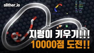 지렁이 키우기 10000점 도전!!!!! slither.io(with Clova Dubbing)