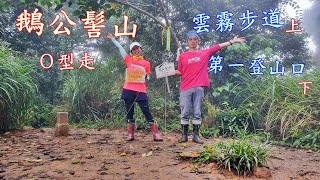 20220818 【小百岳】從雲霧步道登 鵝公髻山(靜心瀑布/愛心瀑布/大血藤/九芎神木/迷霧森林...美美美~~)