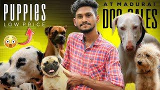 Dog Farm Madurai | Low Cost Dogs In Madurai | Kiruba Dog Farm :: தமிழில்