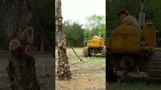 #shorts #caterpillar  1941 Cat D2 Vs. Tree II