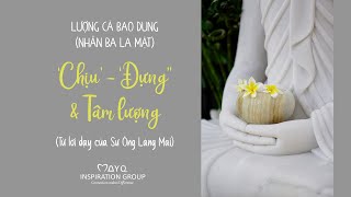 Bài 1: ‘CHỊU’ - ‘ĐỰNG’ & ‘TÂM LƯỢNG’  | LƯỢNG CẢ BAO DUNG: NHẪN BA LA MẬT [Từ Sư Ông Làng Mai]