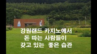 강원랜드 카지노에서 돈 따는 사람들이 갖고 있는 좋은 습관. (오늘도 카지노)