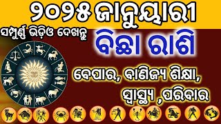 ୨୦୨୫ ମସିହା ଜାନୁୟାରୀ ମାସର ବିଛାରାଶିର ରାଣିଫଳ ll BichhaRasi Rasifala/# Bicharasi # KTR OdiaVoice