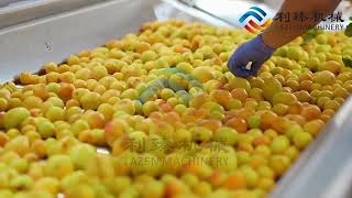 Apricot Puree Production Line/ Apricot, Peach, Plum processing plant