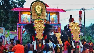 ഗജരാജൻ പാമ്പാടി രാജൻ | Pampady Rajan | Puliyannoor pooram