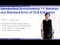 Variance and Standard Error of OLS Estimates | Introductory Econometrics 11