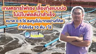 เลี้ยงกุ้งแบบบ่อไม่มีใบพัดตีน้ำ ขนาด 0.5 ไร่ ทำได้จริง 10 ตัน/ไร่ [English Subtitles]