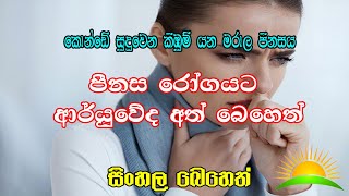 පීනස රෝගයට ආර්යුවේද අත් බෙහෙත් | Catarrh Ayurvedic Beheth | සිංහල බෙහෙත් | Arunalu