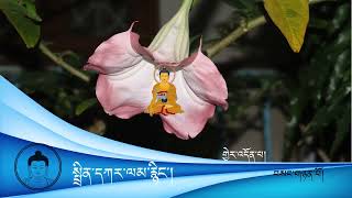 སྤྲིན་དཀར་ལམ་རྙིང་། བར་ཆ། 07