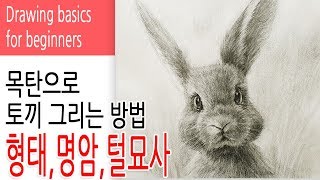 Charcoal Drawing / How to draw a rabbit with charcoal for beginners