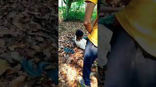 #শালা আমার মুখে মুতে দিল      #funny short    video            #See3 Vlogs