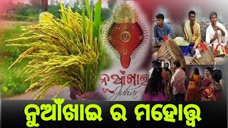 ନୁଆଁଖାଇ ପର୍ବ କଣ ପାଇଁ ପାଳନ କରାଯାଏ /ଧୁମଧାମରେ ପାଳିତ ହେଲା ନୁଆଁଖାଇ