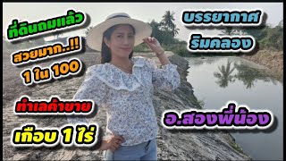 (ปิดการขาย) #ที่ดินสวย #ที่ดินถมแล้ว #สวยมาก เกือบ 1 ไร่ บรรยากาศ#ริมคลอง ติดถนนอยู่ในชุมชน