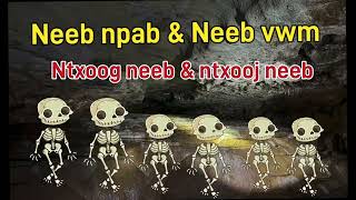 Ntxoog neeb & ntxooj neeb