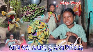 ମାଆ ବଣ ଜଙ୍ଗଲ ରୁ କ'ଣ ଆଣିଲେ || @tribevloggerrani9457