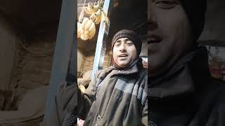 Chakdaha Best Fruit Shop #youtubeshort #trending