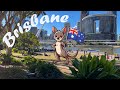 Discovering Brisbane: Australia's River City Adventure