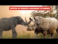 Battle of Giants: Elephant Vs Rhino