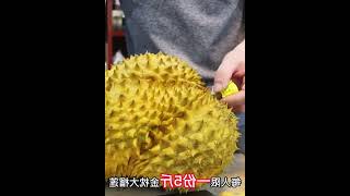 在猫咪面前打开王致和臭豆腐，会发生什么？ 1 #008