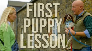 how to start training a puppy