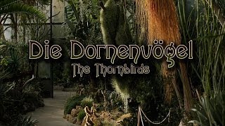 Die Dornenvögel - The Thornbirds - Soundwonderland Lernvideo