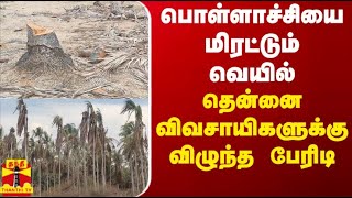 பொள்ளாச்சியை மிரட்டும் வெயில் - தென்னை விவசாயிகளுக்கு விழுந்த பேரிடி