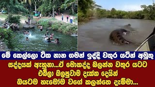 වතුර යටින් ආපු එකා දැකලා නානා හිටපු කෙල්ලොන්ට තරු විසිවුනා