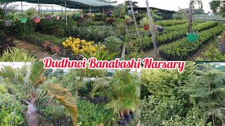 Dudhnoi Banabashi Narsary Video lll