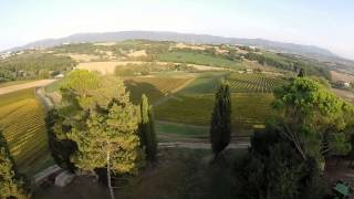 Cantina Sobrano Drone by Thierry