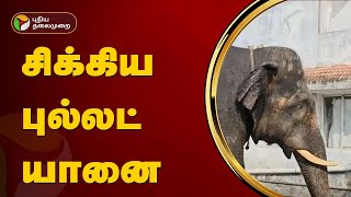 சிக்கிய புல்லட் யானை | Bullet Elephant | Nilgiri