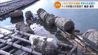 「浦村カキ」の養殖いかだ破損　ことし受けた津波の被害が来年の出荷量にも影響か　三重・鳥羽市 (22/04/05 18:36)