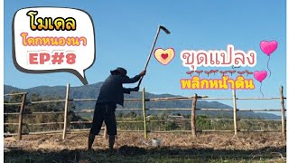 🍀🪴ลาออกจากงานประจำมาทำเกษตร🌾🌱โมเดล โคกหนองนา Ep#8 ขุดแปลงผัก