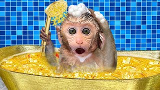 Monkey Baby Bon Bon bath in the toilet and Eats Ice Cream Gold with puppy at the pool
