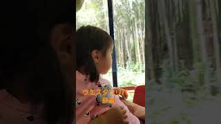 #ディズニーランド#ウエスタンリバー鉄道#2才#娘