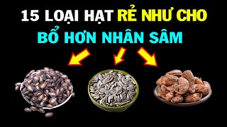 15 Loại Hạt CÓ ĐẦY VIỆT NAM Càng Ăn Càng Bổ Cho Sức Khỏe Mà Rất Ít Người Biết