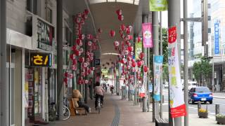 4Kふくしま　郡山市さくら通り