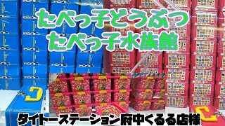 【クレーンゲーム】【末広がり】【ビギナー】20221107 ＠タイステ府中くるる店様 たべっ子どうぶつ たべっ子水族館