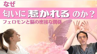 匂いで記憶が蘇ったりリラックスしたり・・・脳と嗅覚の密接な関係について詳しく解説！