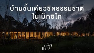 แอบบอก-ออกแบบ EP.90 : บ้านชั้นเดียวชิดธรรมชาติในเม็กซิโก