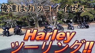 (最終話）Harleyツーリング‼三愛レストハウス！大観峰‼九州❕