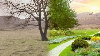 Paradigm Shift | Official Trailer