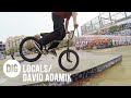 DIG LOCALS - DAVID ADAMIK