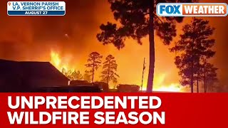 Louisiana Battling Unprecedented Wildfire Season, More Than 500 Fires Raged Across State In August