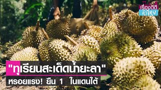 หรอยแรง! ทุเรียนสะเด็ดน้ำยะลายืน 1 ในภาคใต้ I เรื่องดีดีทั่วไทย I 10-09-64