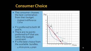 NEIU ECON Lecture Series 21 (Part 4): Consumer Optimization