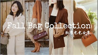 Fall Bag Collection | 6只秋冬包包合集 | Chanel Celine BV Manu ParisaWang | 牛牛Emily